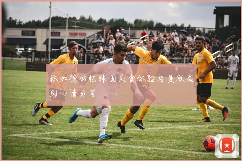 林加德回忆韩国美食体验与曼联离别心情分享