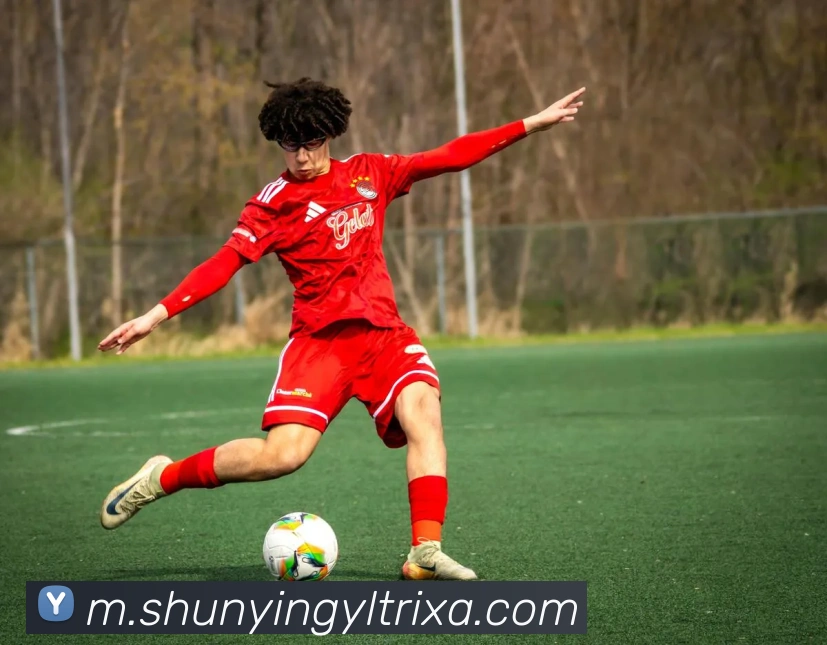 顺盈娱乐发展历程